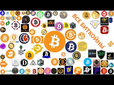 🙀 Обзор на все виды и форки Биткойна (ALL BITCOINS)