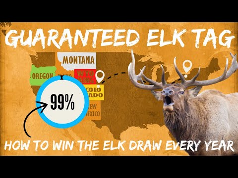 Elk Draw Odds - Guarantee Yourself a Tag This Hunting Season