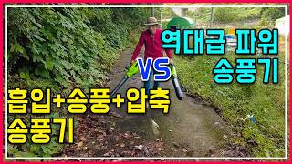 괴물 송풍기 찾았어요 낙엽 청소, 눈치우기 끝판왕 그린웍스 송풍기 2종 비교 분석