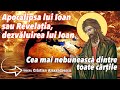 Apocalipsa Lui Ioan Sau Revelatia Dezvaluirea Lui Ioan Cea Mai Nebuneasca Dintre Toate Cartile