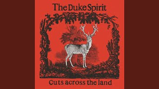 Music video thumbnail preview for Stubborn Stitches by The Duke Spirit