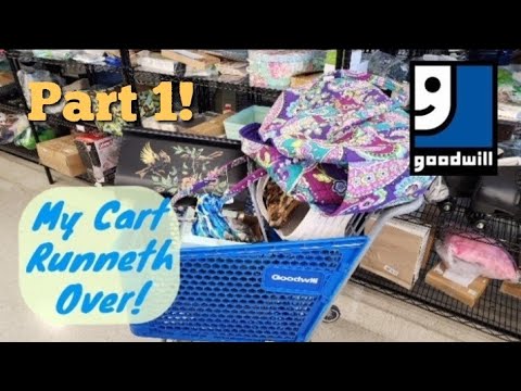 My Cart Runneth Over! - Ship Along With Me - Goodwill Thrift Store