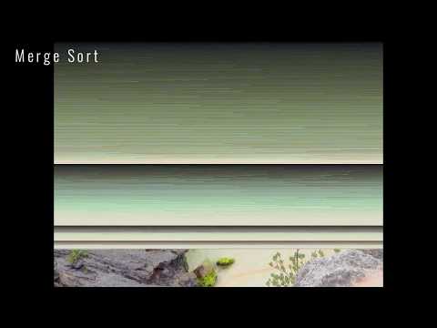 Sorting Algorithms Visualized With Photos Java