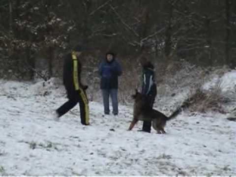 Astoria Daniel Bohemia - obrana - ZVV1 - zimní závod Kácov