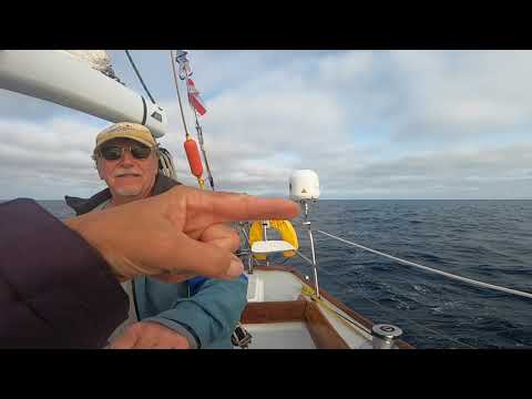 Solo Cal 40, Nalu V, in 2021 Transpac Race