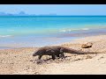 Airborne - Lizard Island - Music Video
