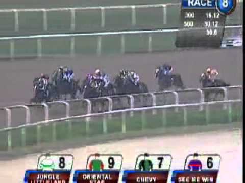 20101017 SG CALSS 5 1100M (POLYTRACK) - JUNGLE LITTLELAND (SB Ng)
