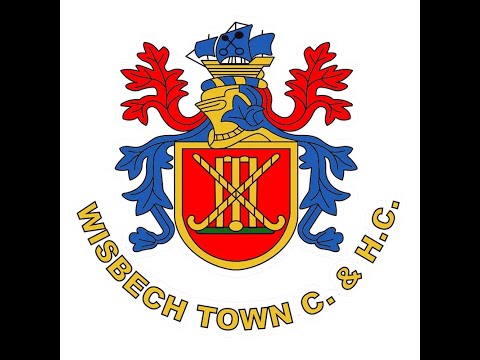 WTCC 1st XI vs Halstead CC 1st XI - EAPL Play Off Semi Final 17th September 2023