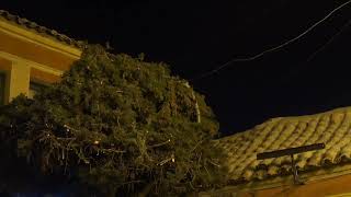 Cover art for no tengan hijos