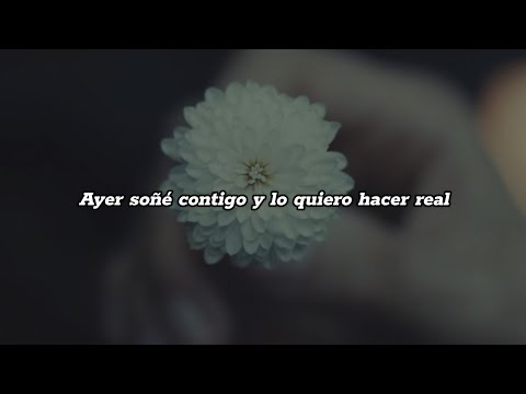 Porter - Respuesta Sensorial