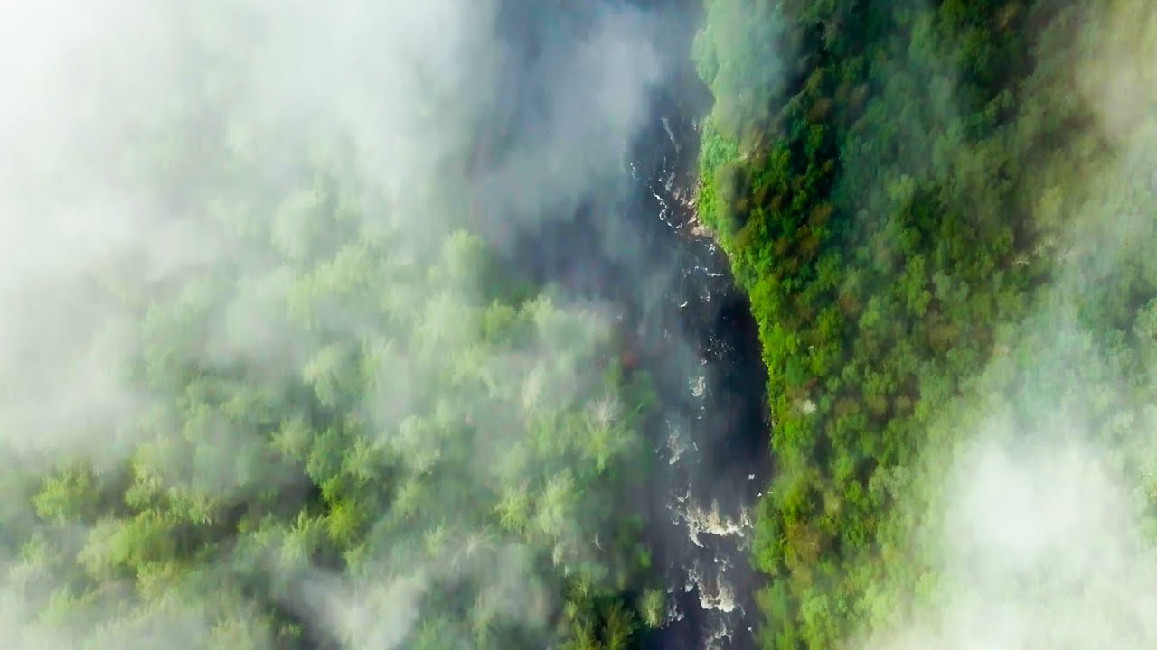 Aux portes de chez nous... - Aire protégée des rivières Noire et Coulonge