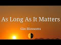 As Long As It Matters (Lyrics) Gin Blossoms @LYRICS STREET #lyrics #ginblossoms #aslongasitmatters