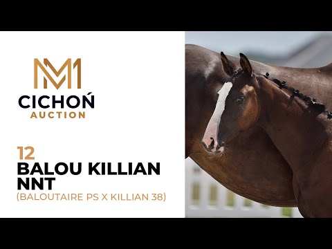 12 Balou Killian NNT (Baloutaire PS x Killian 38)