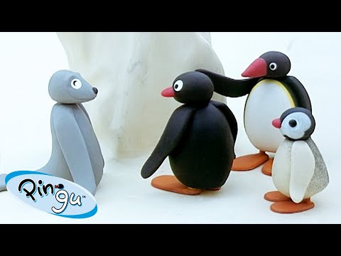 Pingu's Friends & Family 🐧 | Pingu – Official Channel | Cartoons For Kids - Kids (0-4), Kingdom Kids Zone - Pingu - Official Channel