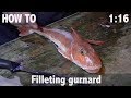 How to Fillet Gurnard