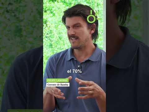 Felipe Lanusse - Gerente de Bamba