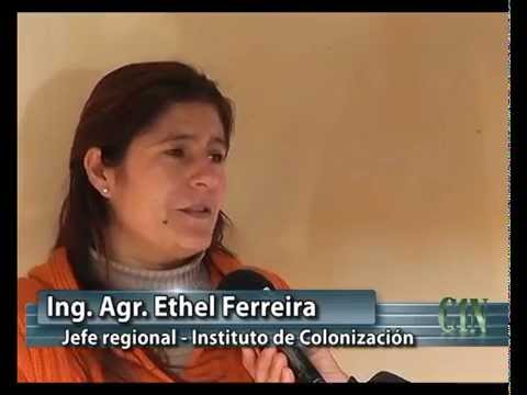 COLONIZACIÓN EN CERRO LARGO