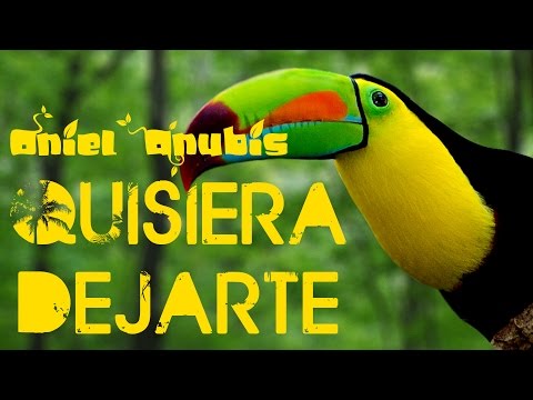 Oniel Anubis - Quisiera Dejarte (Audio)
