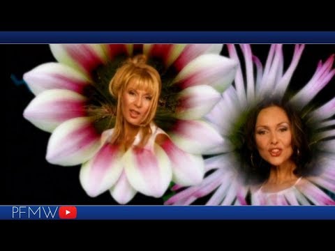 Toni Dacheva feat. Gloria - Zhenite Sa Tsvetya (remix)