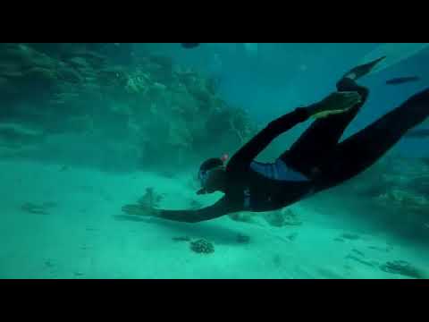 preview-video