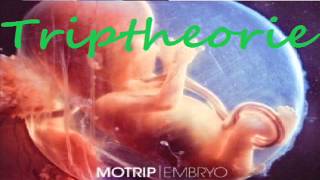 MoTrip- Triptheorie feat. Marsimoto