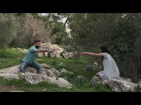 Hold Back the River Dance in the Forest