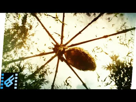 Kong Skull island Gaint Spider Fight scene...