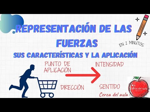 Representation of the forces