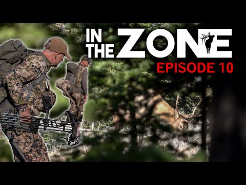 Choose Your Elk Calling Setups Wisely: In the Zone (Episode 10)
