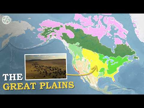 Quali sono i biomi più grandi del Nord America?