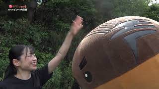 2024/8/28放送・知ったかぶりカイツブリにゅーす