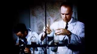 A Day With The F.B.I. (1951)