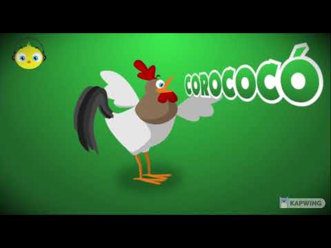 Pintinho Piu (apropriado para crianças)