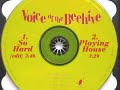 Voice Of The Beehive - So Hard (audio) (original clip edit)