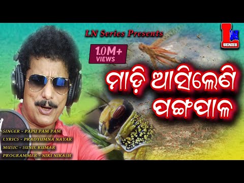 CORONA-AAILA-LOO-PAPU-PAM-PAM-ODIA-NEW-DANCE-SONG-CORONAVIRUS-SONG-PRADYUMNA-NAYAK Mp4 3GP Video & Mp3 Download unlimited Videos Download CORONA-AAILA-LOO-PAPU-PAM-PAM-ODIA-NEW-DANCE-SONG-CORONAVIRUS-SONG-PRADYUMNA-NAYAK Mp4 3GP Video & Mp3 Download unlimited Videos Download