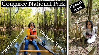 Congaree National Park South Carolina | Kayaking through the forest