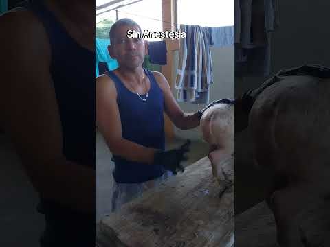 Aprendiendo en la Universidad de la Vida #venezuela #Trujillo ##Bolívar