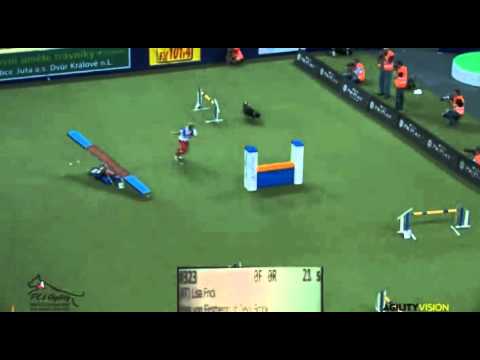 Agility Large LISA FRICK Hoss 1st place WC 2012