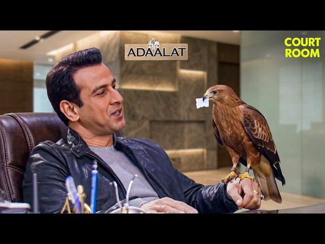 जब बाज़ खुद सबूत लेकर पहुँचा KD Pathak के पास 😱🦅| New Adalat 2026 | Courtroom Drama #justice #eagle SDDEFAULT Thumbnail