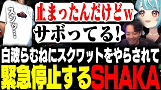 白波らむねにスクワットをやらされて緊急停止するSHAKA【League of Legends】