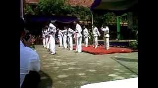 preview picture of video 'Taekwondo MAN 2 BREBES part2'