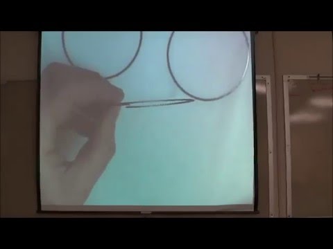 How to install 3 piece piston oil control ring Ninja CRF GSXR CBR Harley Small Engine Chevy Ford