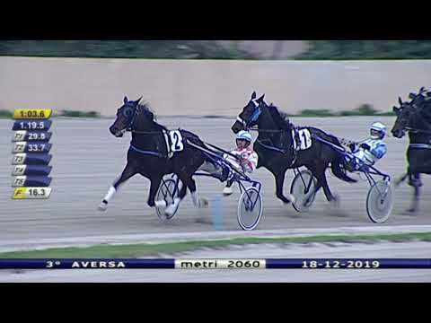 Aversa trotto 18 Dicembre 2019 - 3° Corsa