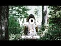 Niya A Bloom Vlog No Copyright Music