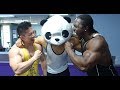 Panda Chest and back workout for men and women - Kwame Duah
