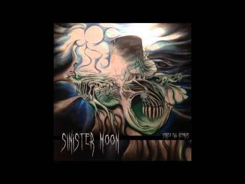 Paranoia Sector - No More Bad Trip