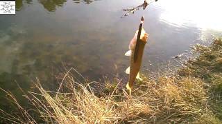 preview picture of video 'First Sycamore Lake Bass 2011 And More'