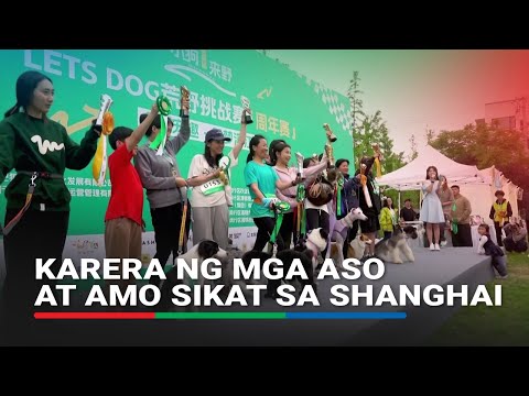 Karera ng mga aso at amo sikat sa Shanghai ABS-CBN News