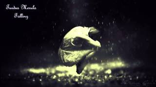 Download lagu Turdus Merula - Falling mp3