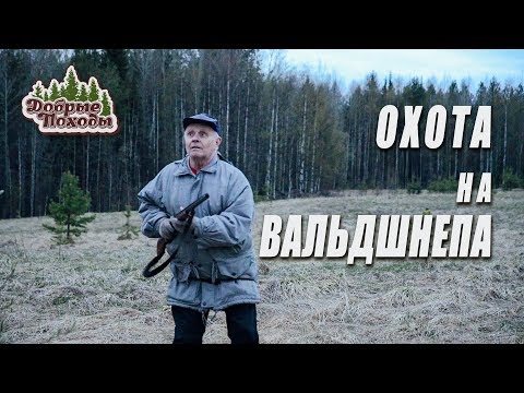 ОХОТА НА ВАЛЬДШНЕПА. ТРОФЕЙ ВЗЯТ. ОХОТА 2019. Добрые походы.